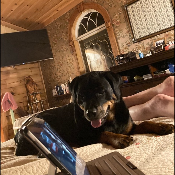 Meet your Posher, Katherine - Picture 9 of 14